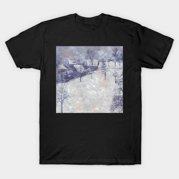 Wintertime in Schwyz CH. T-Shirt by robelf